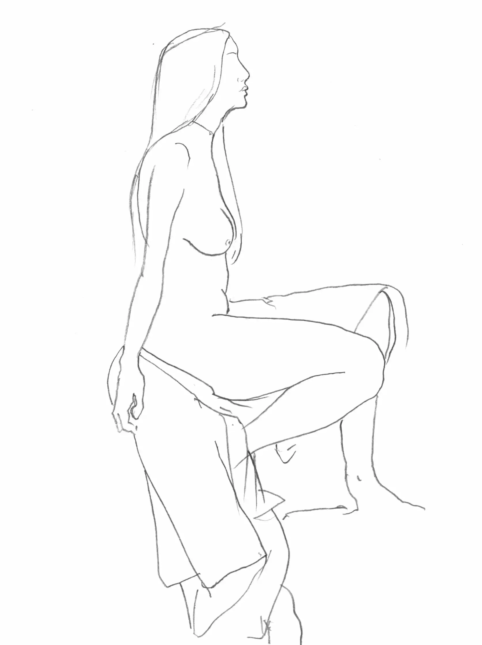 dibujo3