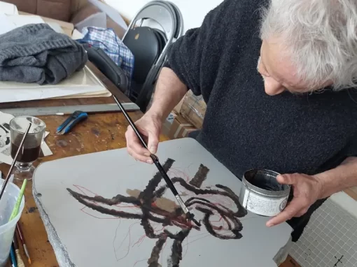 Colaborando con Bororo